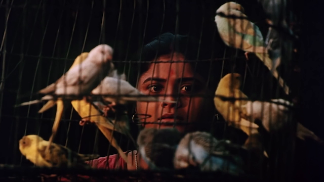 Charachar (1994)-poster