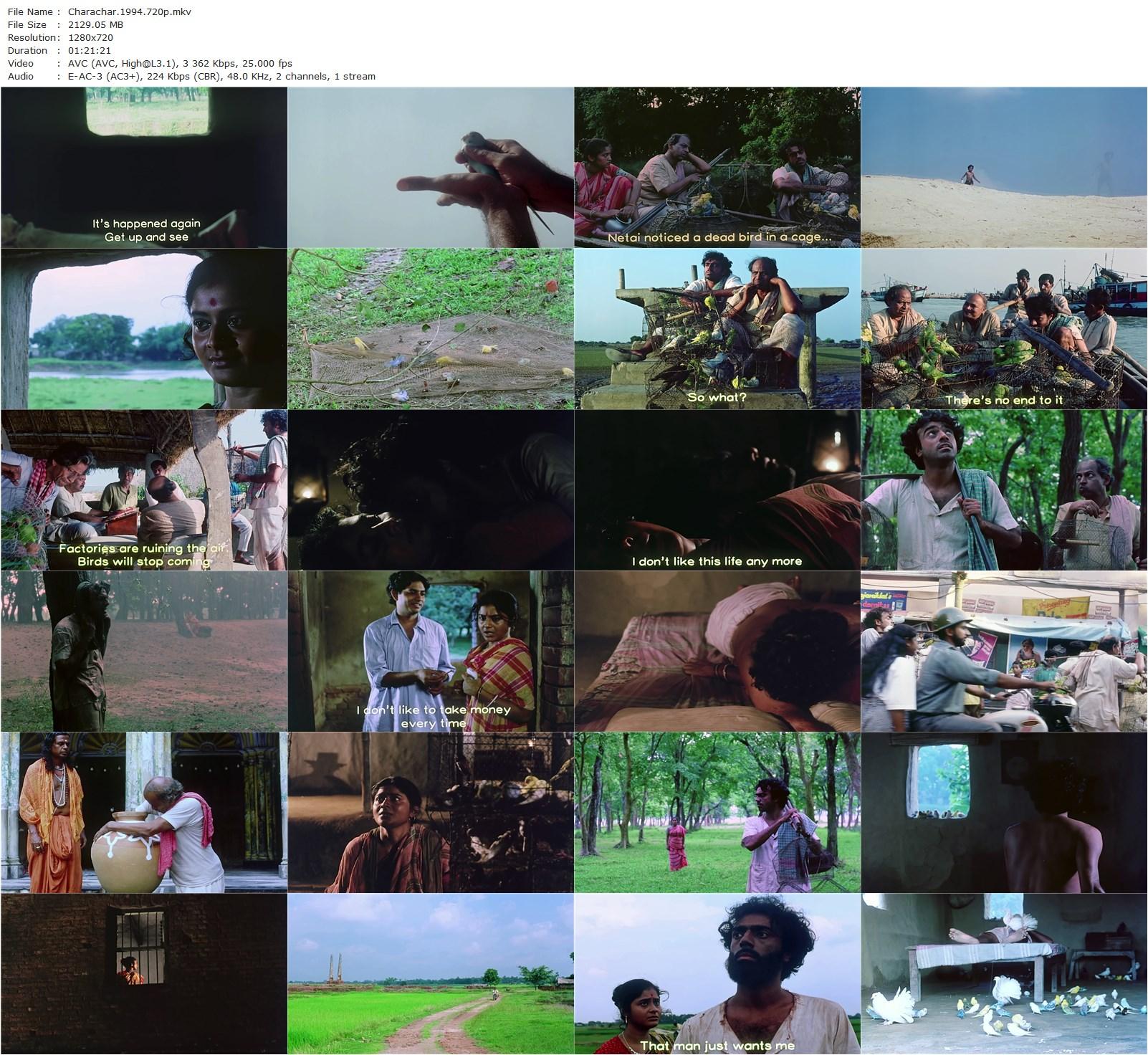 Shelter of the Wings (1994) Buddhadev Dasgupta, Shankar Chakraborty, Indrani Haldar, Rajit Kapoor-poster