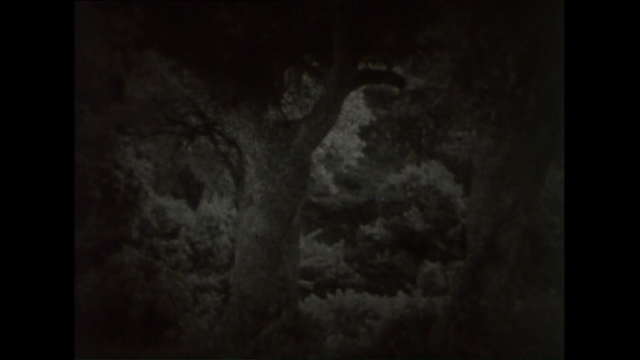 Chemins (2014) | worldscinema.org