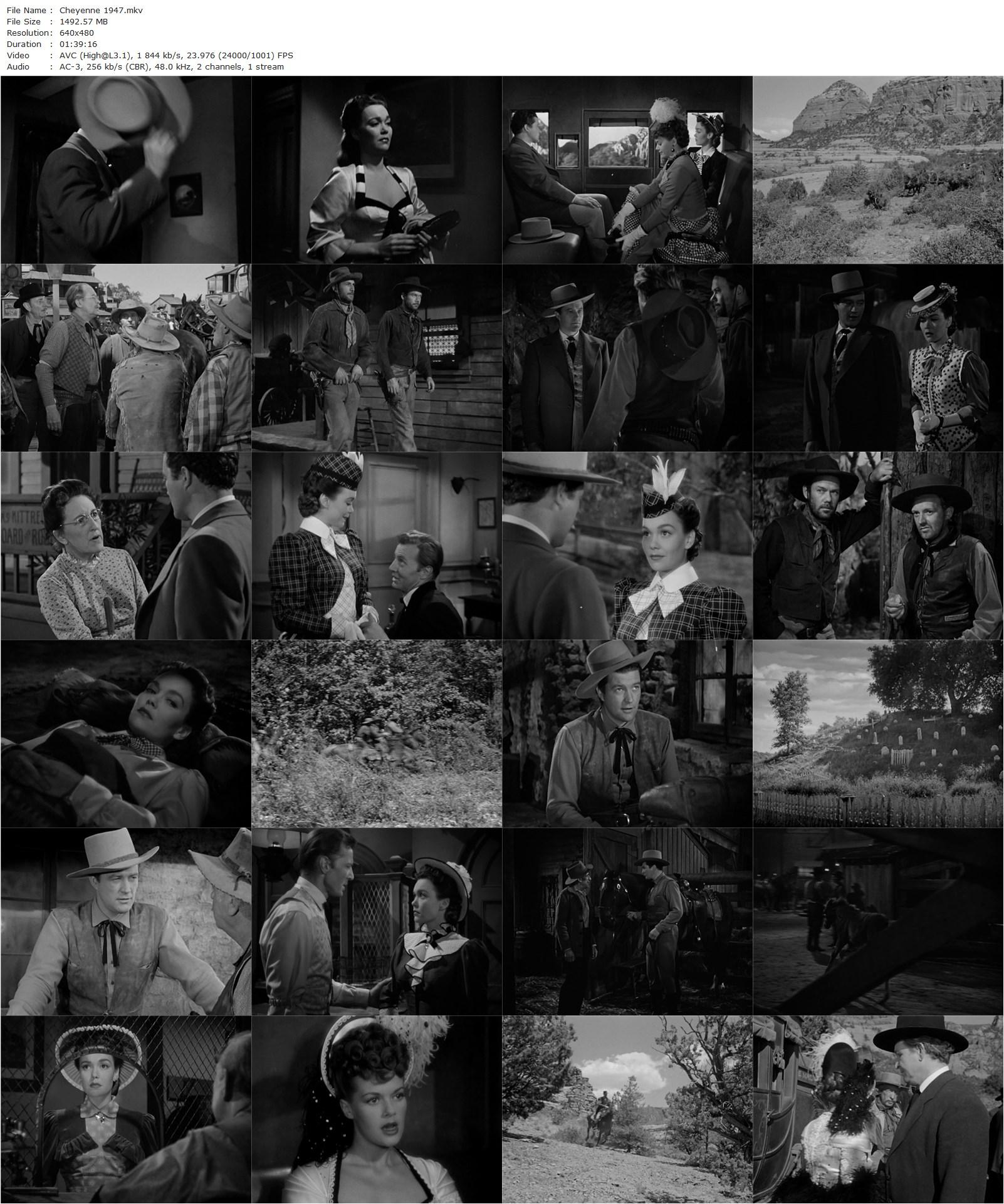 Cheyenne (1947) Raoul Walsh, Dennis Morgan, Jane Wyman, Janis Paige-poster