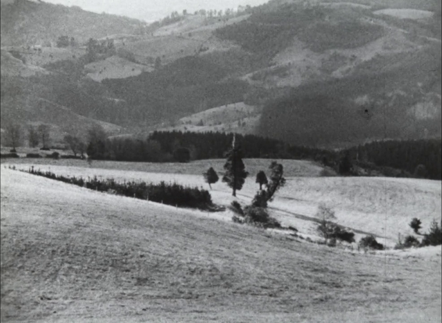 Peter Nestler - Chile (1974)-poster