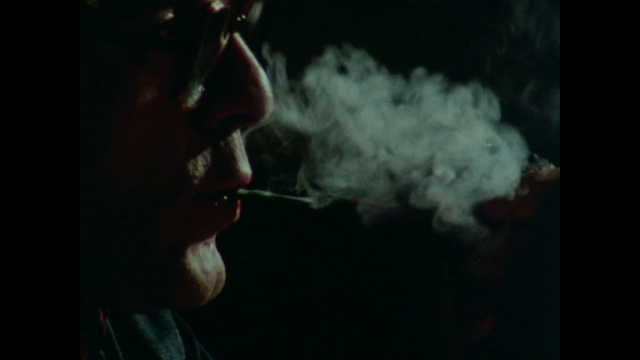 Vera Chytilová - Chytilova Versus Forman (1982)-poster