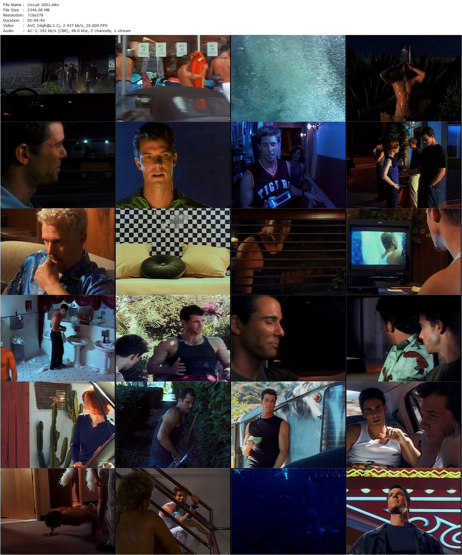 Circuit (2001) Dirk Shafer, Jonathan Wade-Drahos, Andre Khabbazi, Brian Lane Green-poster