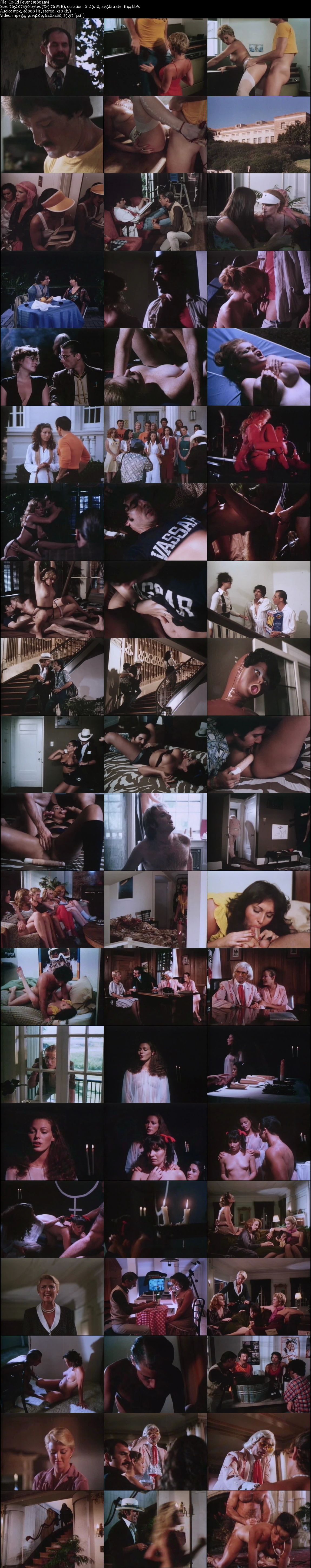 Co-Ed Fever (1980) Gary Graver, Samantha Fox, Brooke West, Serena, Adult, Comedy-poster