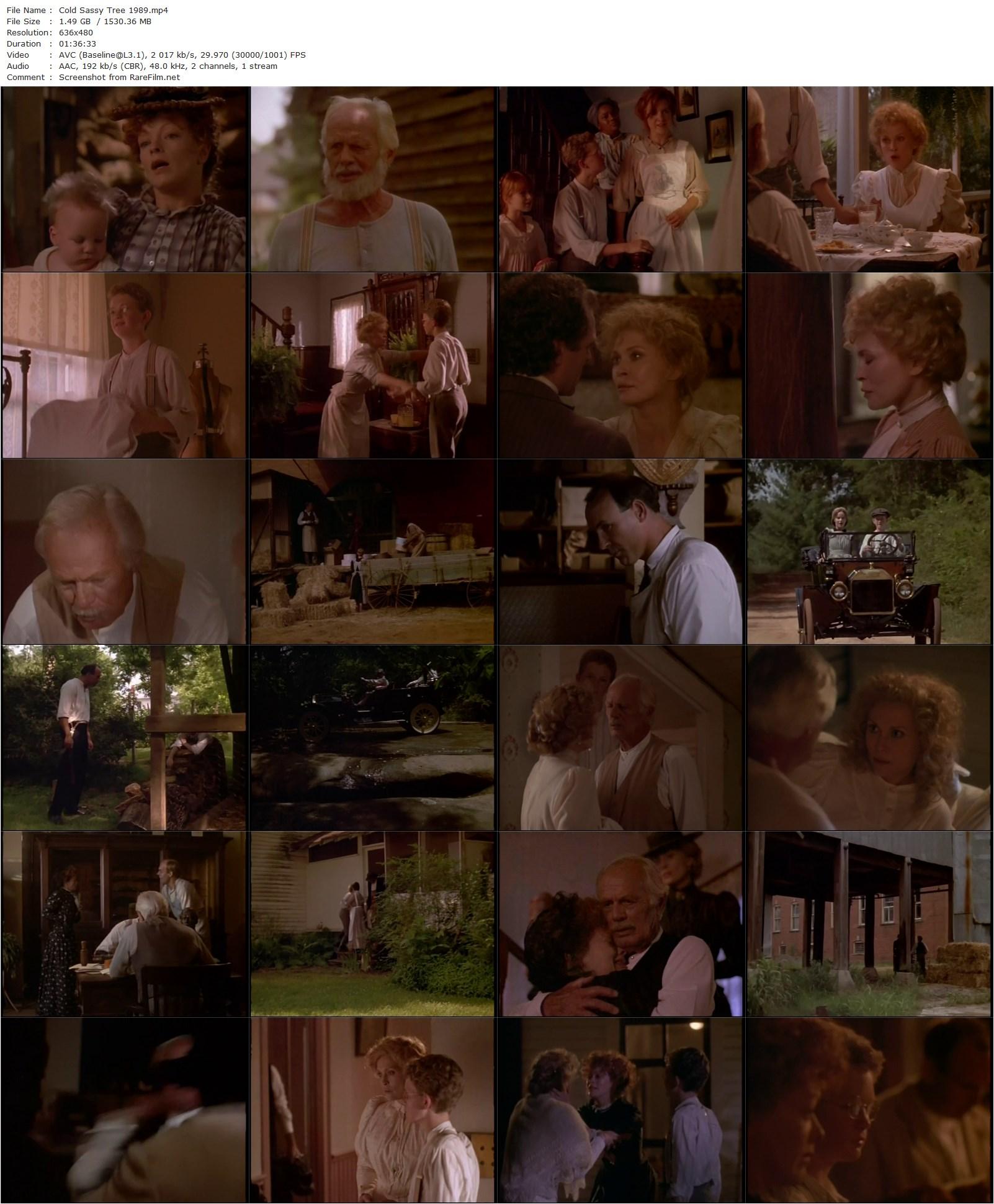 Cold Sassy Tree (1989) Joan Tewkesbury, Faye Dunaway, Richard Widmark, Frances Fisher-poster