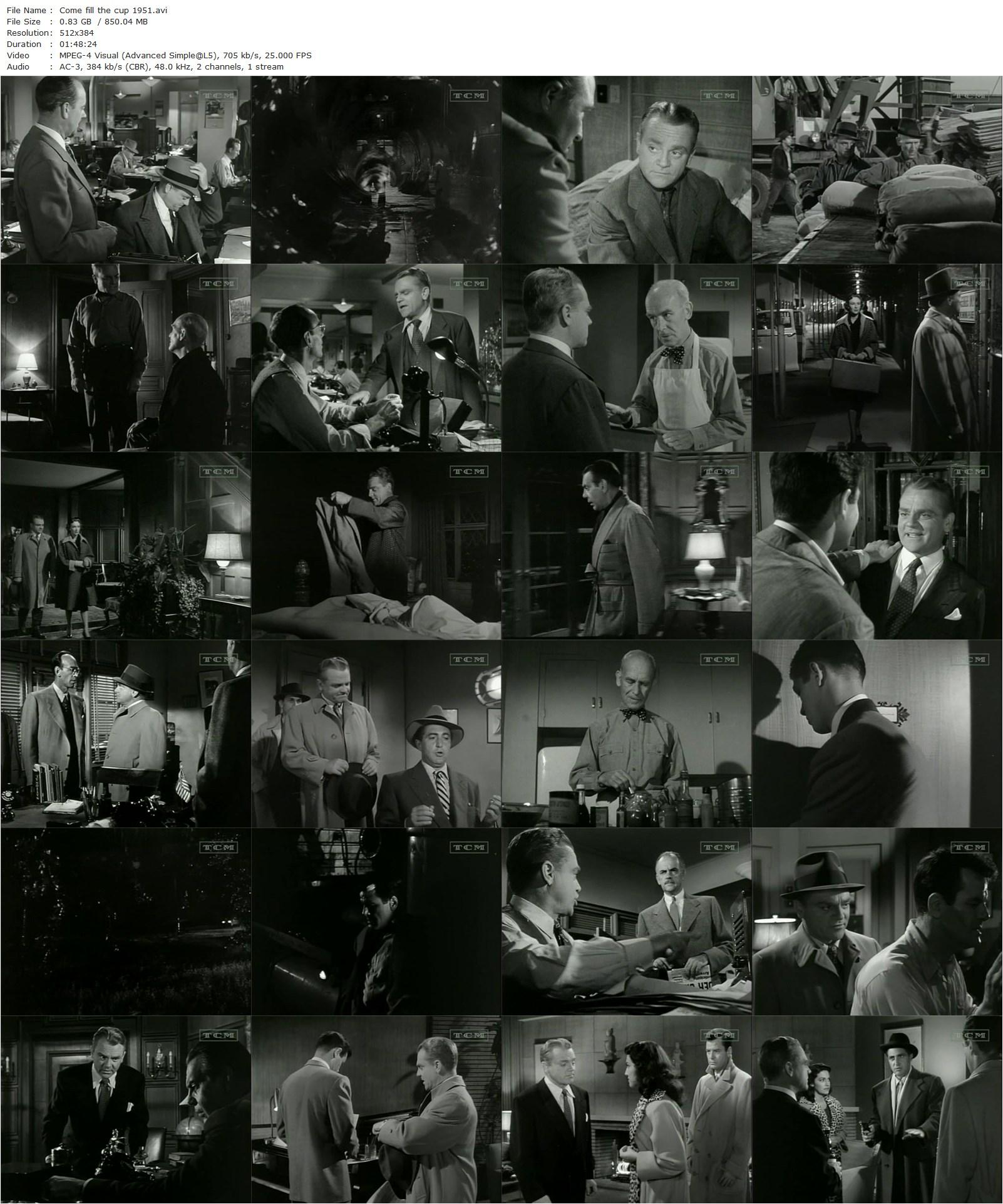 Come Fill the Cup (1951) Gordon Douglas, James Cagney, Phyllis Thaxter, Raymond Massey-poster