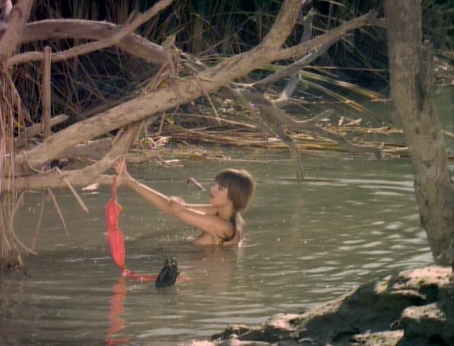 Common Law Cabin (1967) by Russ Meyer-poster