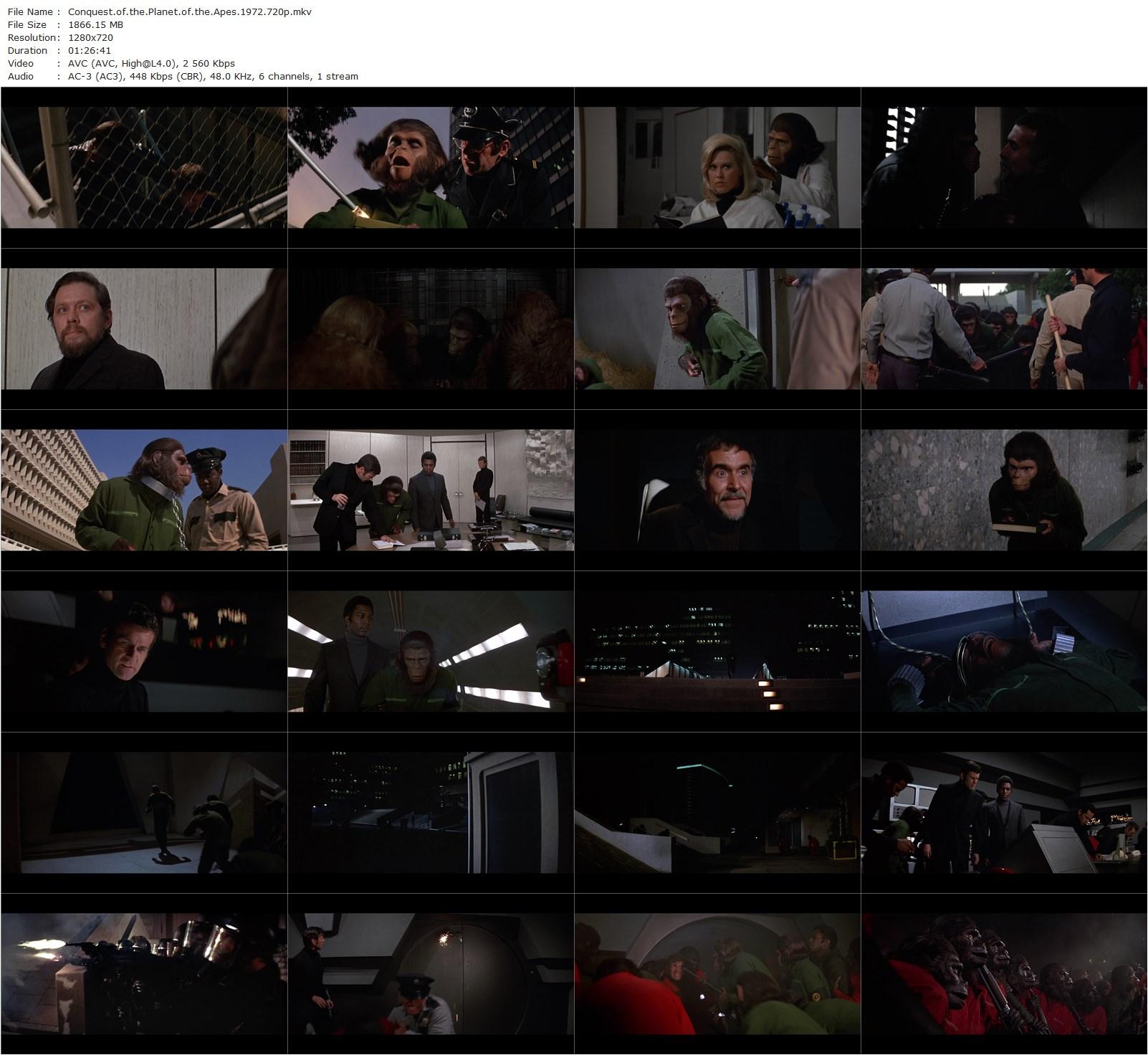 Conquest of the Planet of the Apes (1972) J. Lee Thompson, Roddy McDowall, Don Murray, Ricardo Montalban-poster