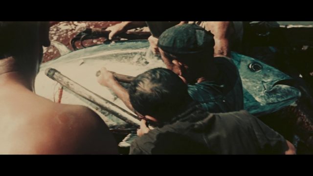 Vittorio De Seta - Contadini del mare AKA Sea Countrymen (1955)-poster