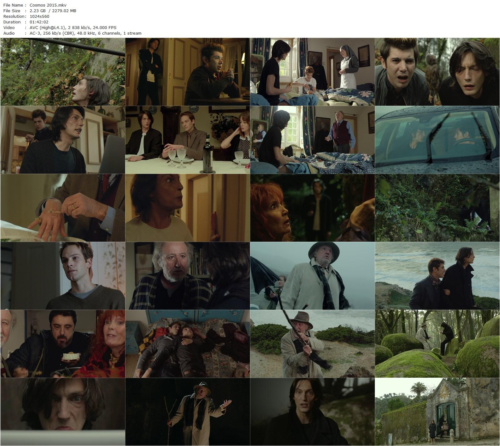 Cosmos (2015) Andrzej Zulawski, Sabine Azéma, Jean-François Balmer, Jonathan Genet-poster