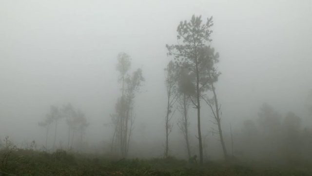 Lois Patiño - Costa da morte (2013)-poster