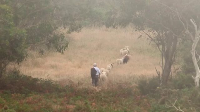 Lois Patiño - Costa da morte (2013)-poster