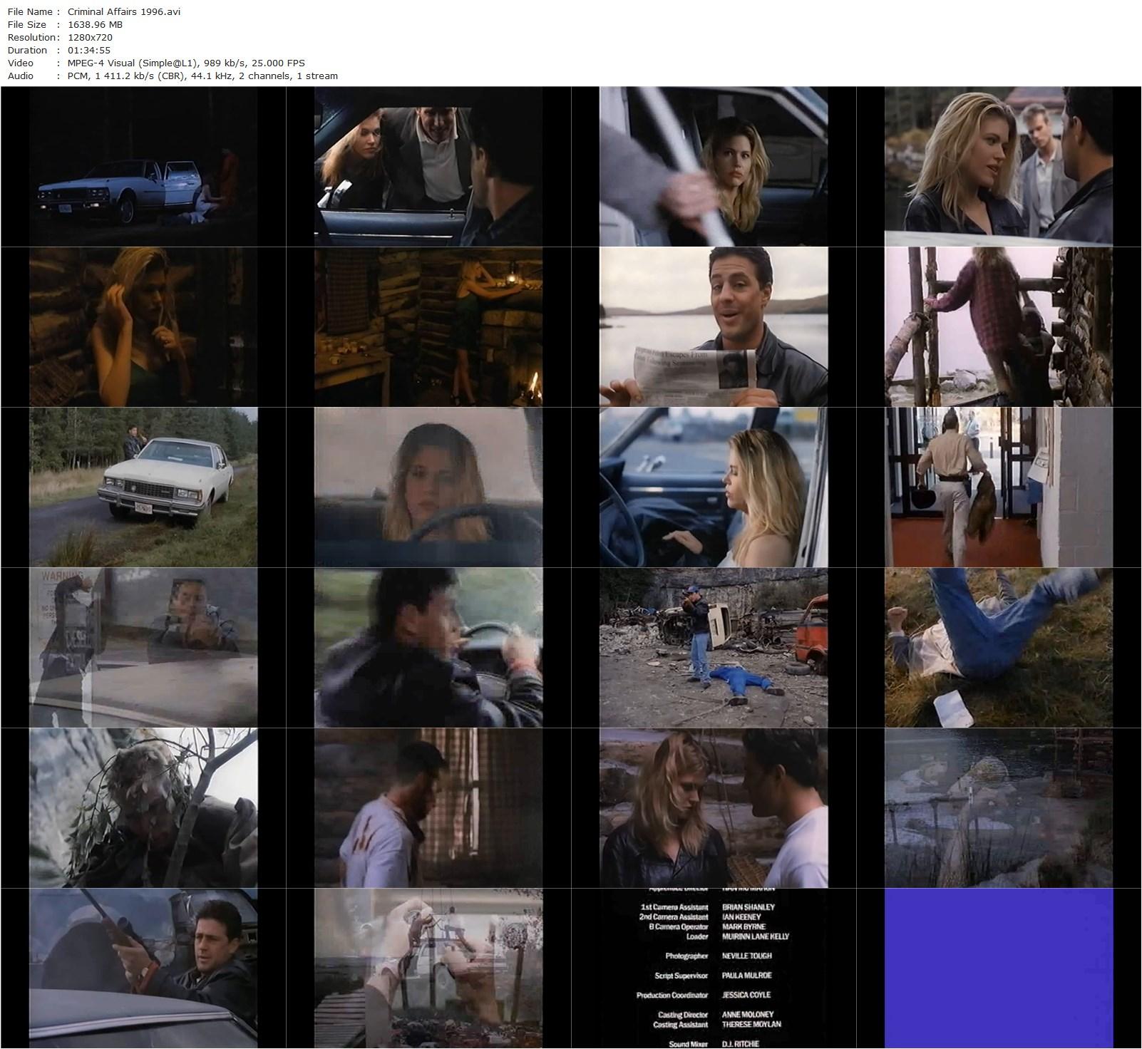 Criminal Affairs (1997) Jeremiah Cullinane, Louis Mandylor, James Marshall, Renee Allman-poster