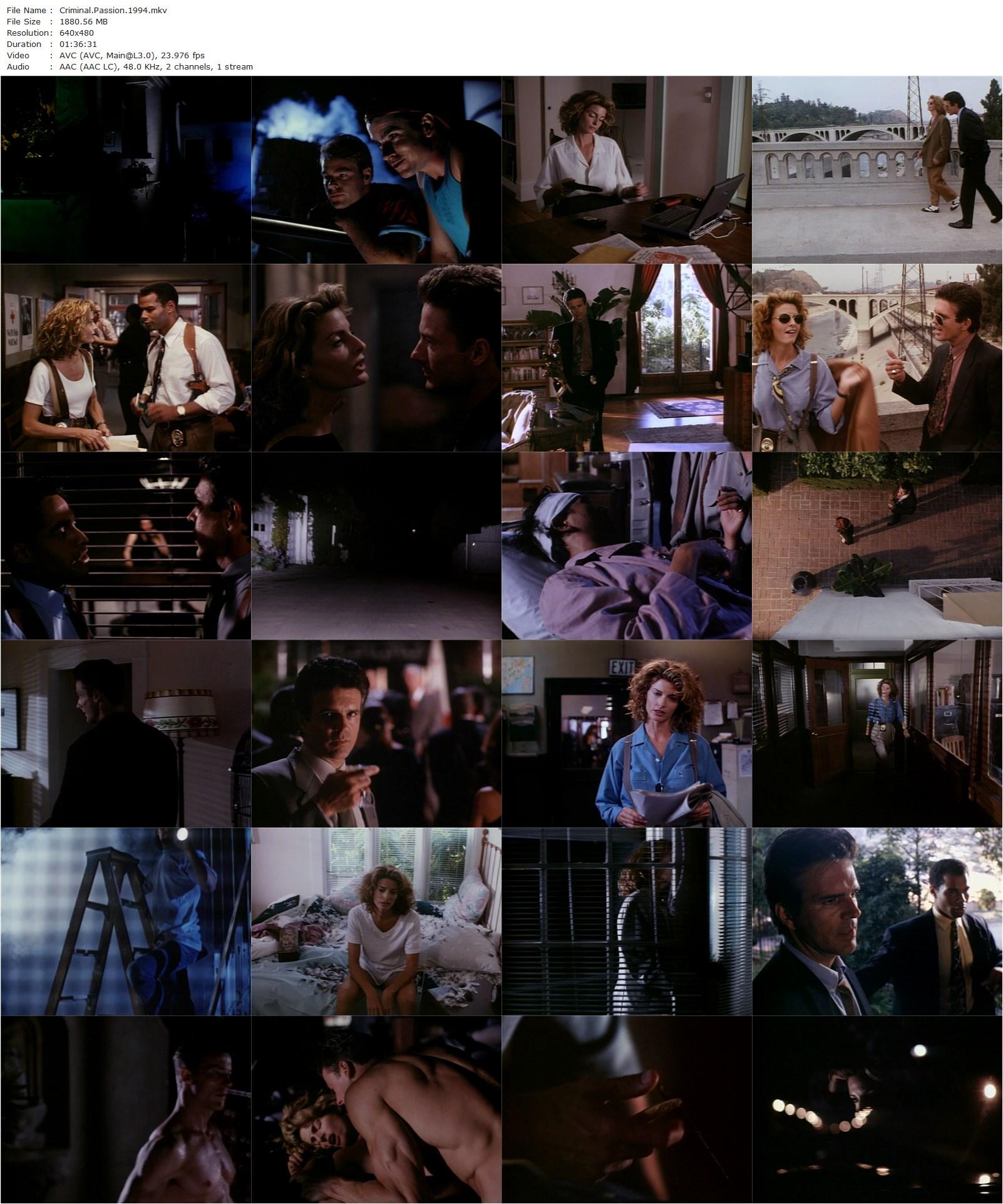 Criminal Passion (1994) Donna Deitch, Joan Severance, Tony Denison, John Allen Nelson-poster