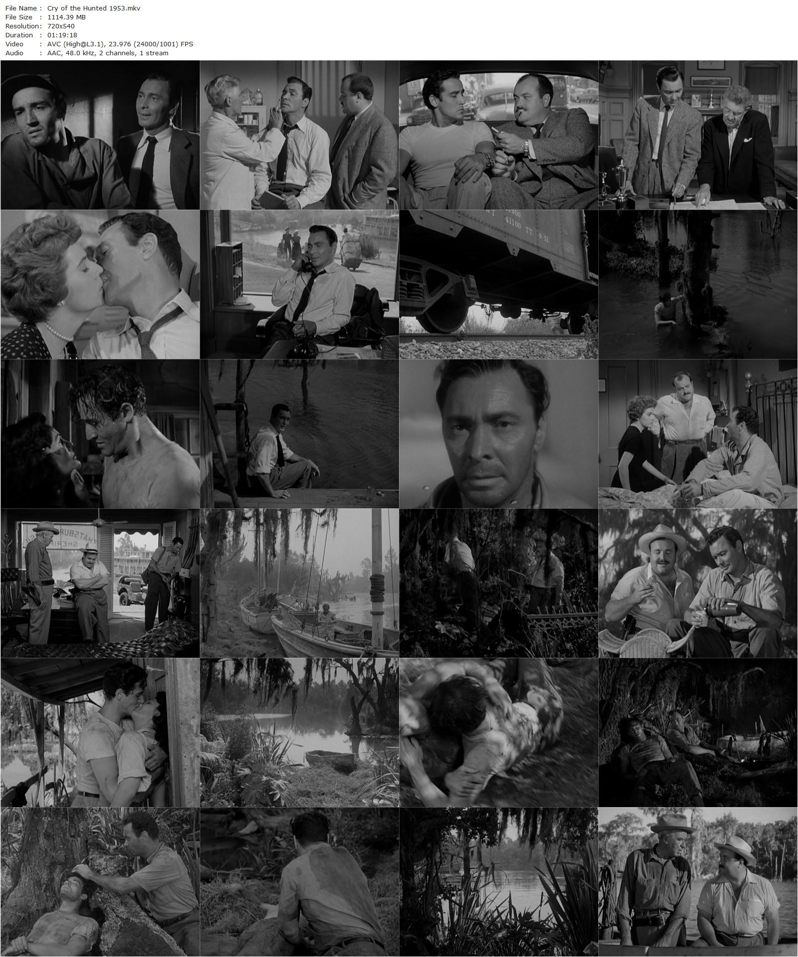 Cry of the Hunted (1953) Joseph H. Lewis, Vittorio Gassman, Barry Sullivan, Polly Bergen-poster