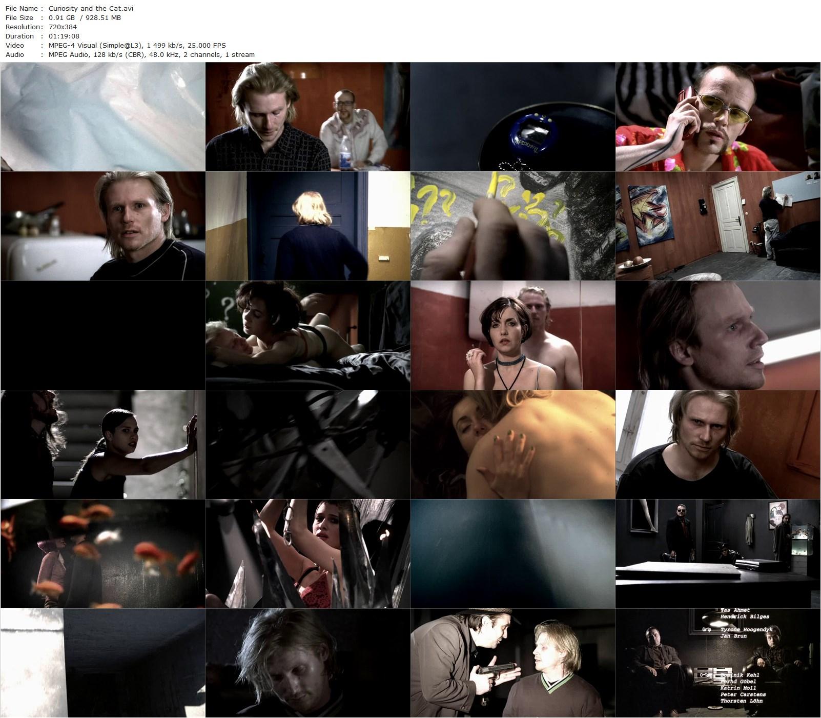 Curiosity and the Cat (1999) Christian Alvart, Konstantin Graudus, Detlef Lutz, Andreas Erfurth-poster