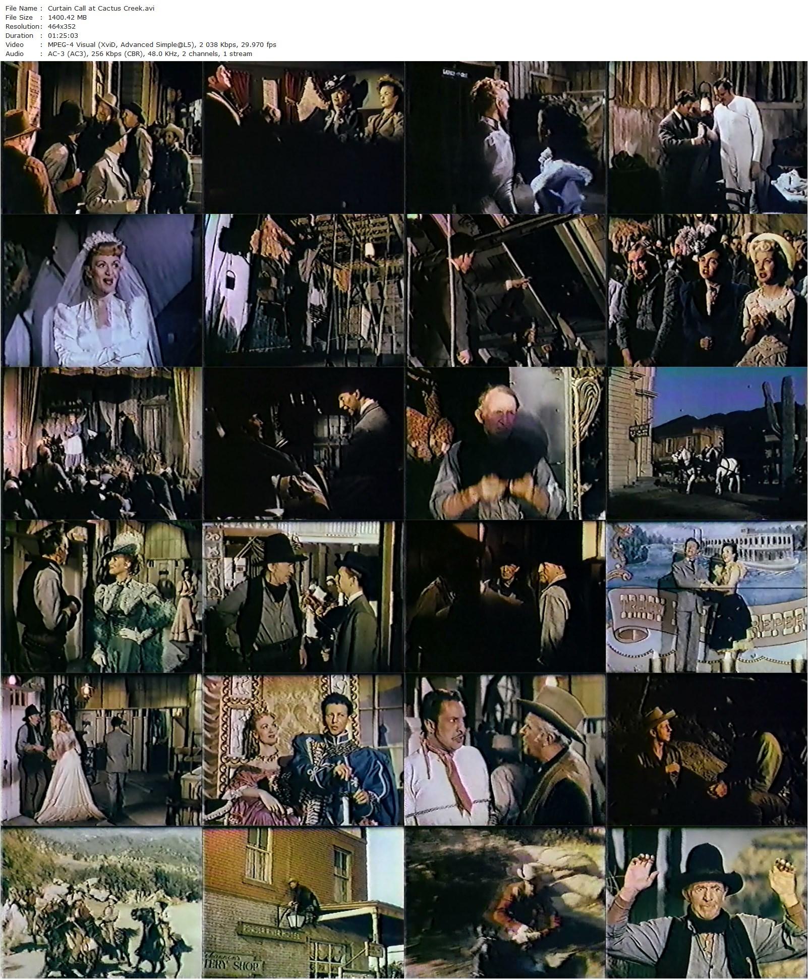 Curtain Call at Cactus Creek (1950) Charles Lamont, Donald O’Connor, Gale Storm, Walter Brennan-poster