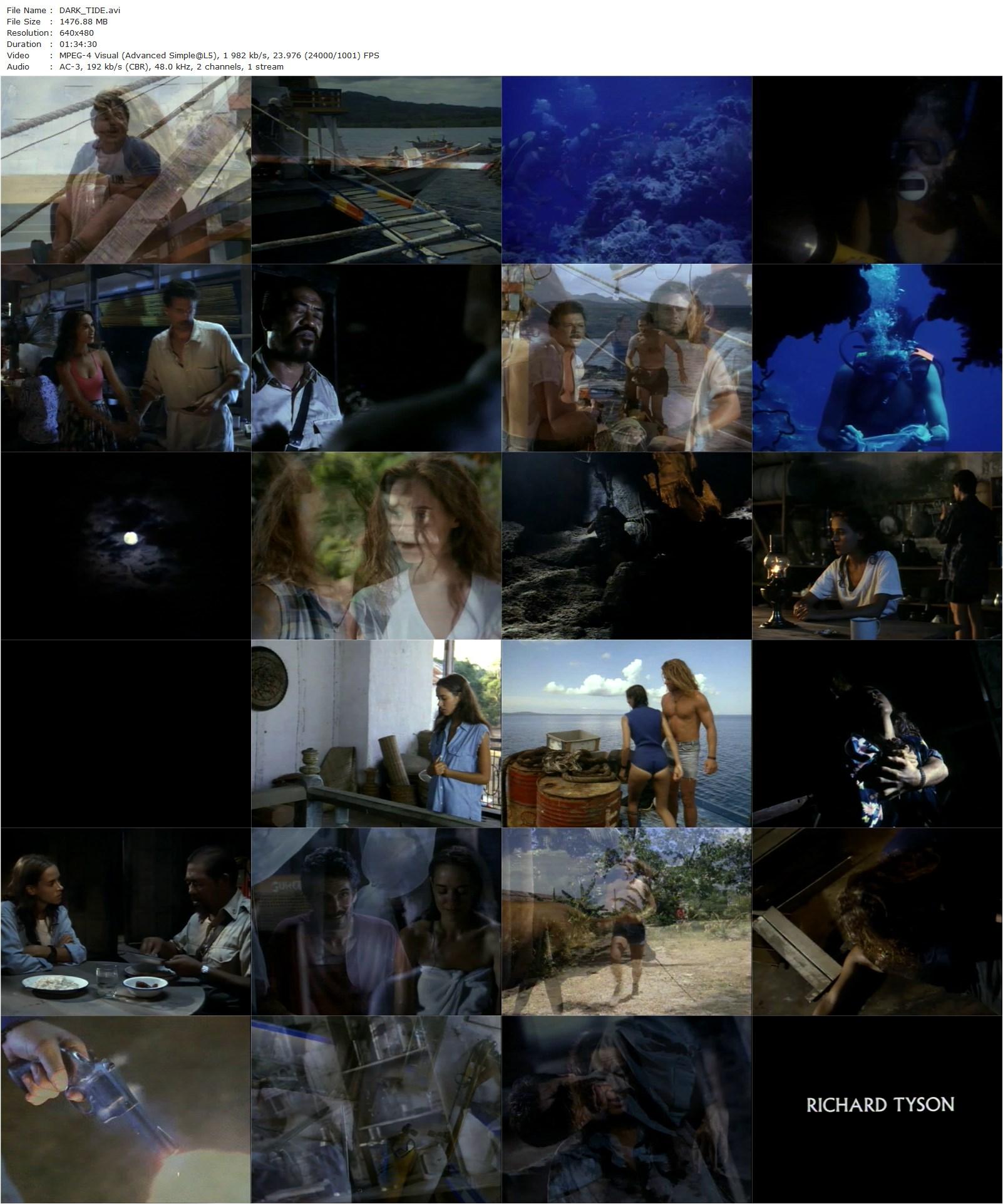 Dark Tide (1994) Luca Bercovici, Chris Sarandon, Richard Tyson, Brigitte Bako-poster