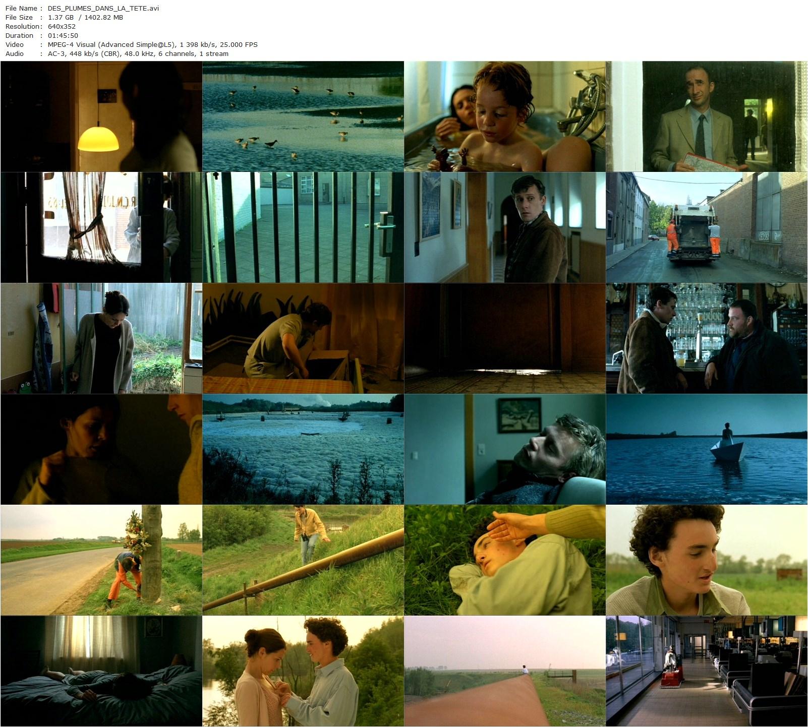 Feathers in My Head AKA Des plumes dans la tête (2003) Thomas De Thier, Sophie Museur, Francis Renaud, Ulysse de Swaef-poster