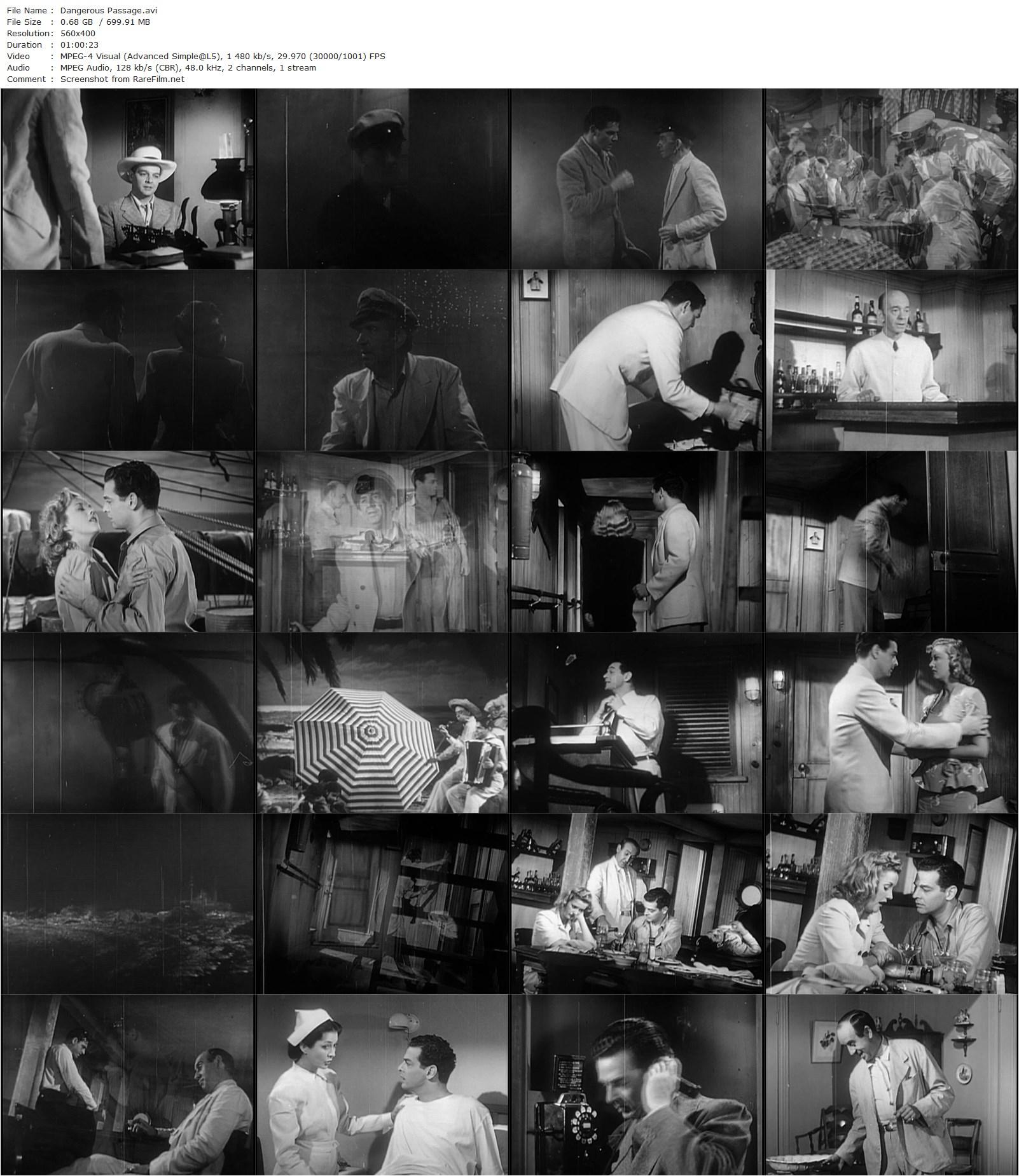 Dangerous Passage (1944) William Berke, Robert Lowery, Phyllis Brooks, Charles Arnt-poster