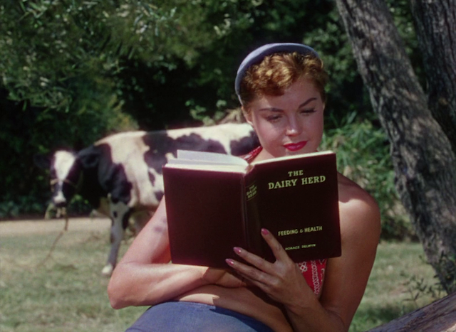 Charles Walters - Dangerous When Wet (1953)-poster