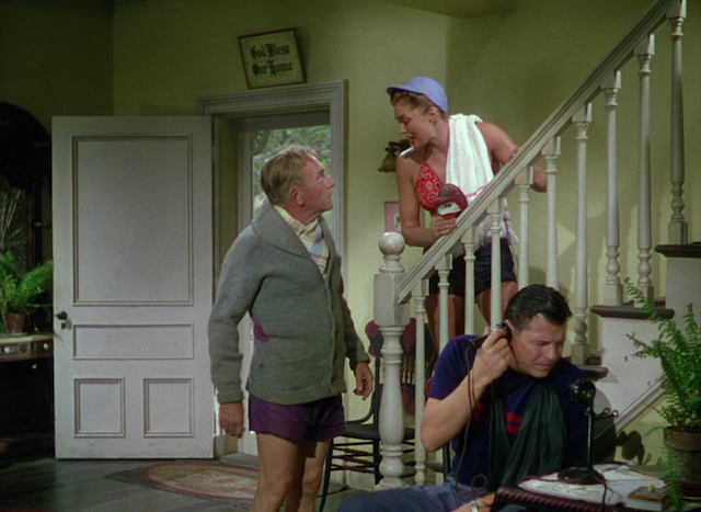 Charles Walters - Dangerous When Wet (1953)-poster