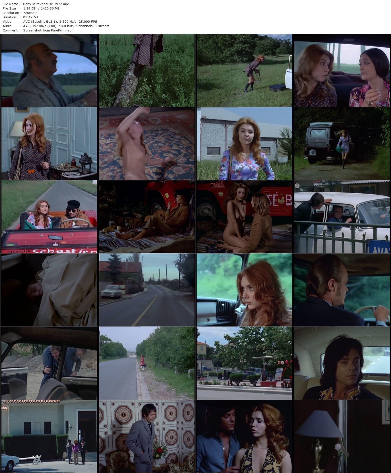 Dany the Ravager / Dany la ravageuse (1972) Willy Rozier, Sandra Julien, Jürgen Drews, Michel Paulin-poster