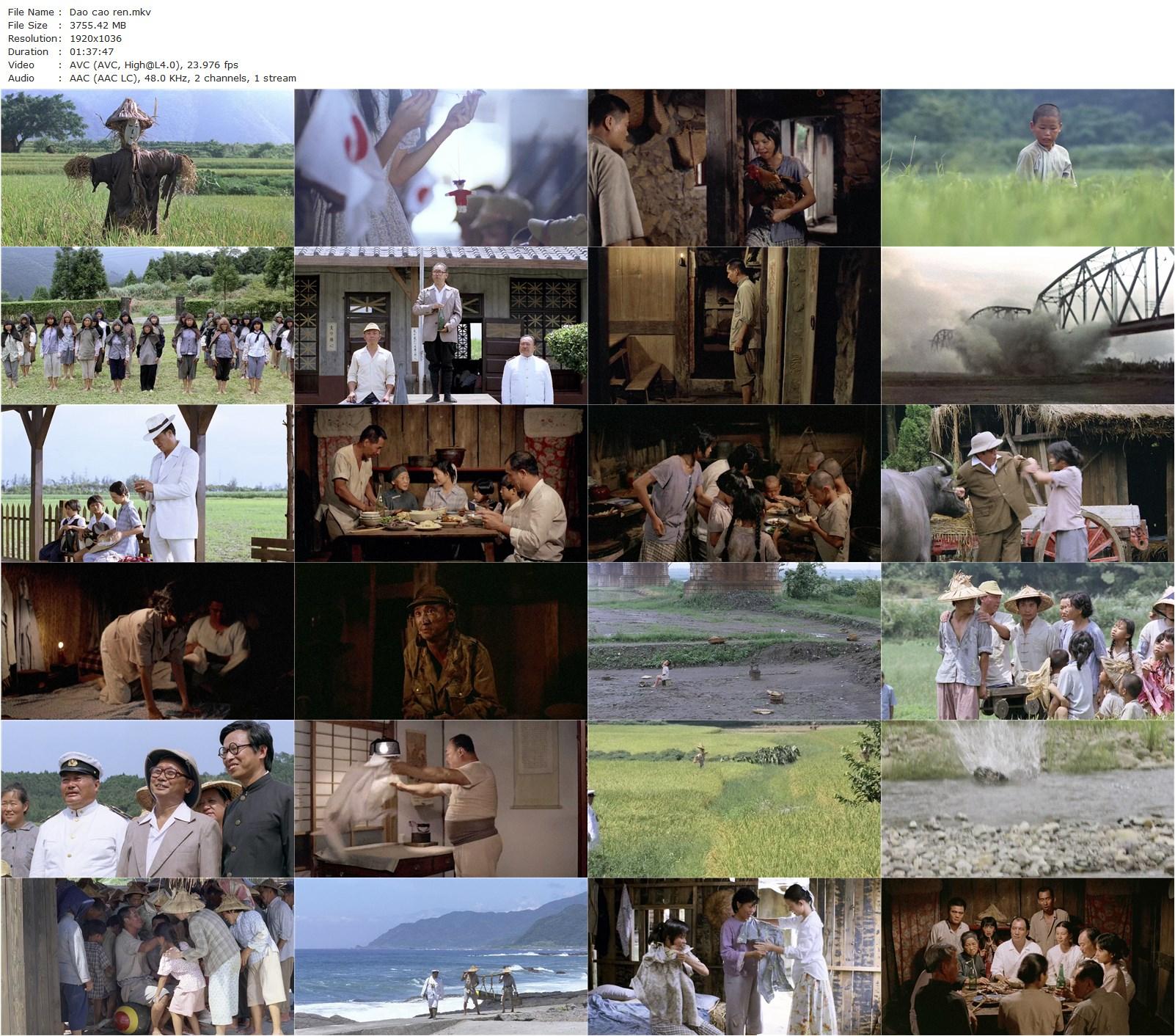 Strawman (1987) Tung Wang-poster