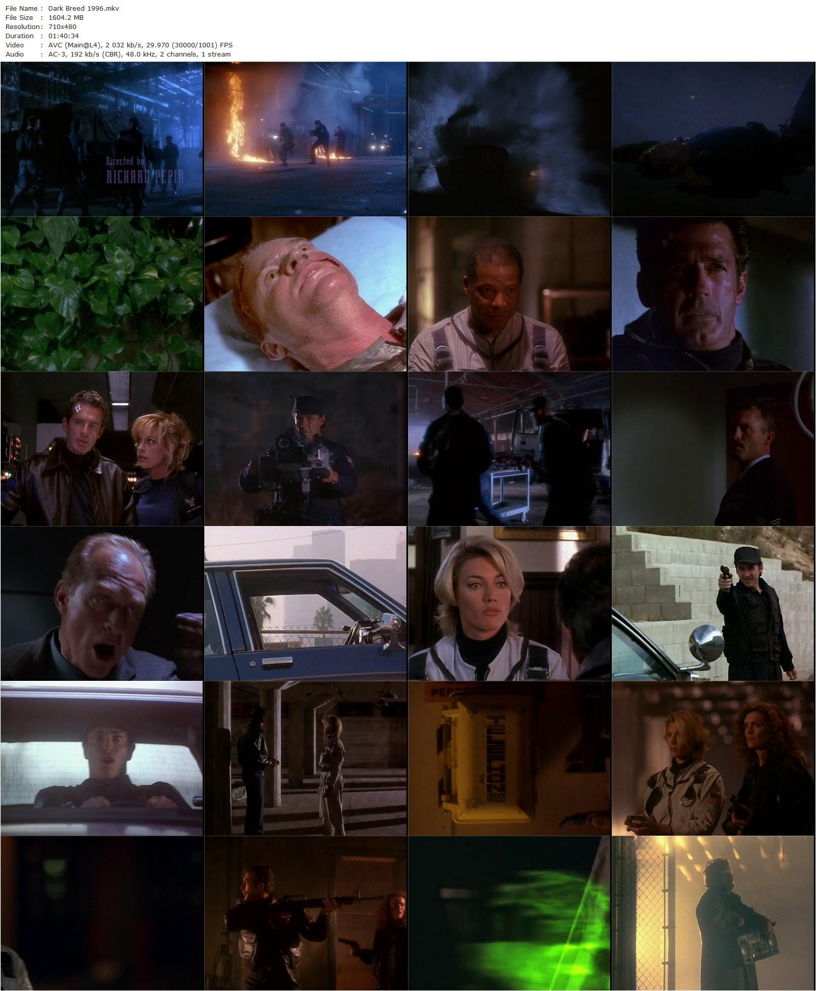 Dark Breed (1996) Richard Pepin, Jack Scalia, Cindy Ambuehl, Jonathan Banks-poster