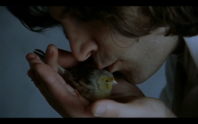 Das Gelübde (2007)-poster