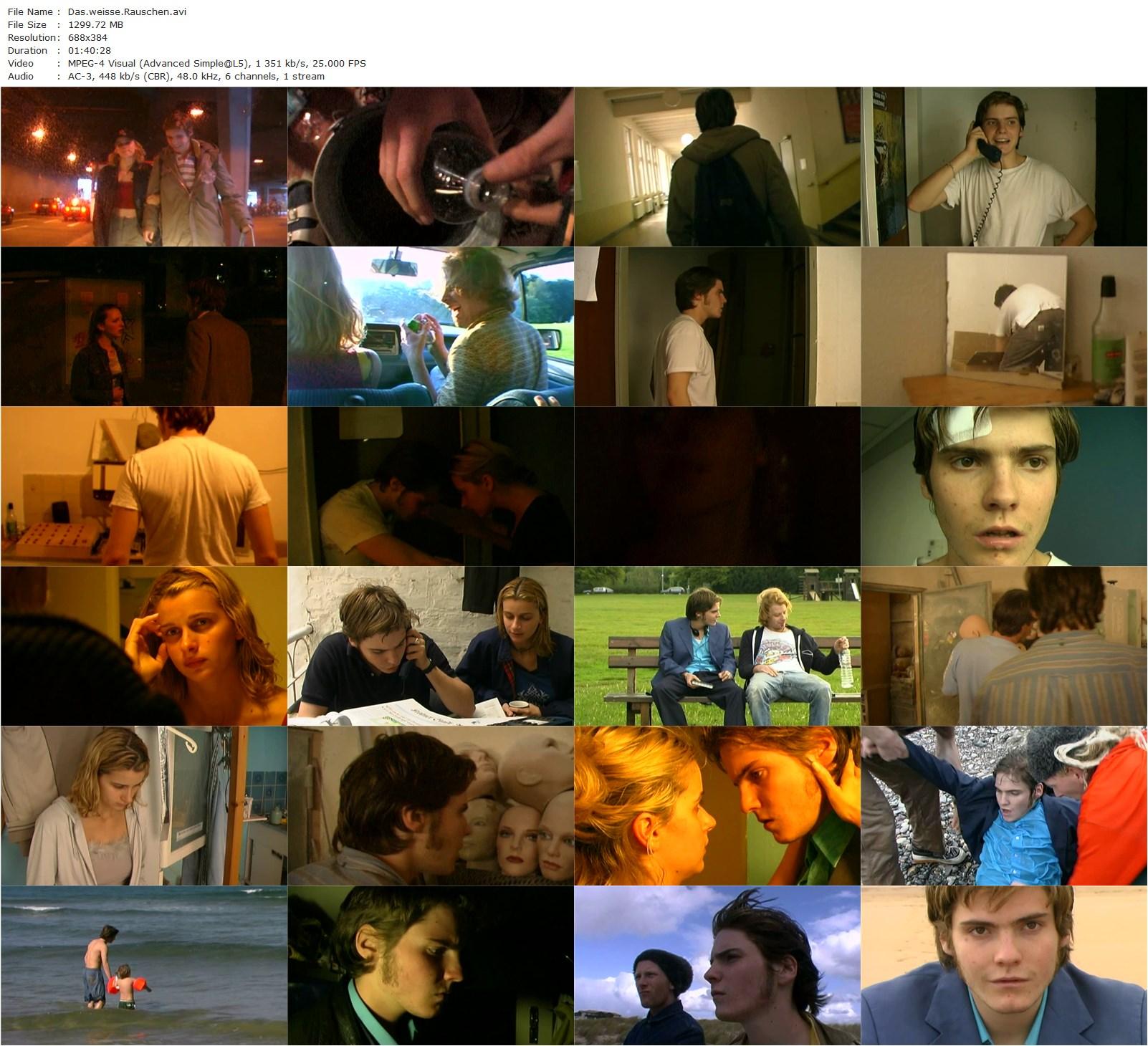 The White Sound AKA Das weiße Rauschen (2001) Hans Weingartner, Tobias Amann, Daniel Brühl, Anabelle Lachatte, Patrick Joswig-poster