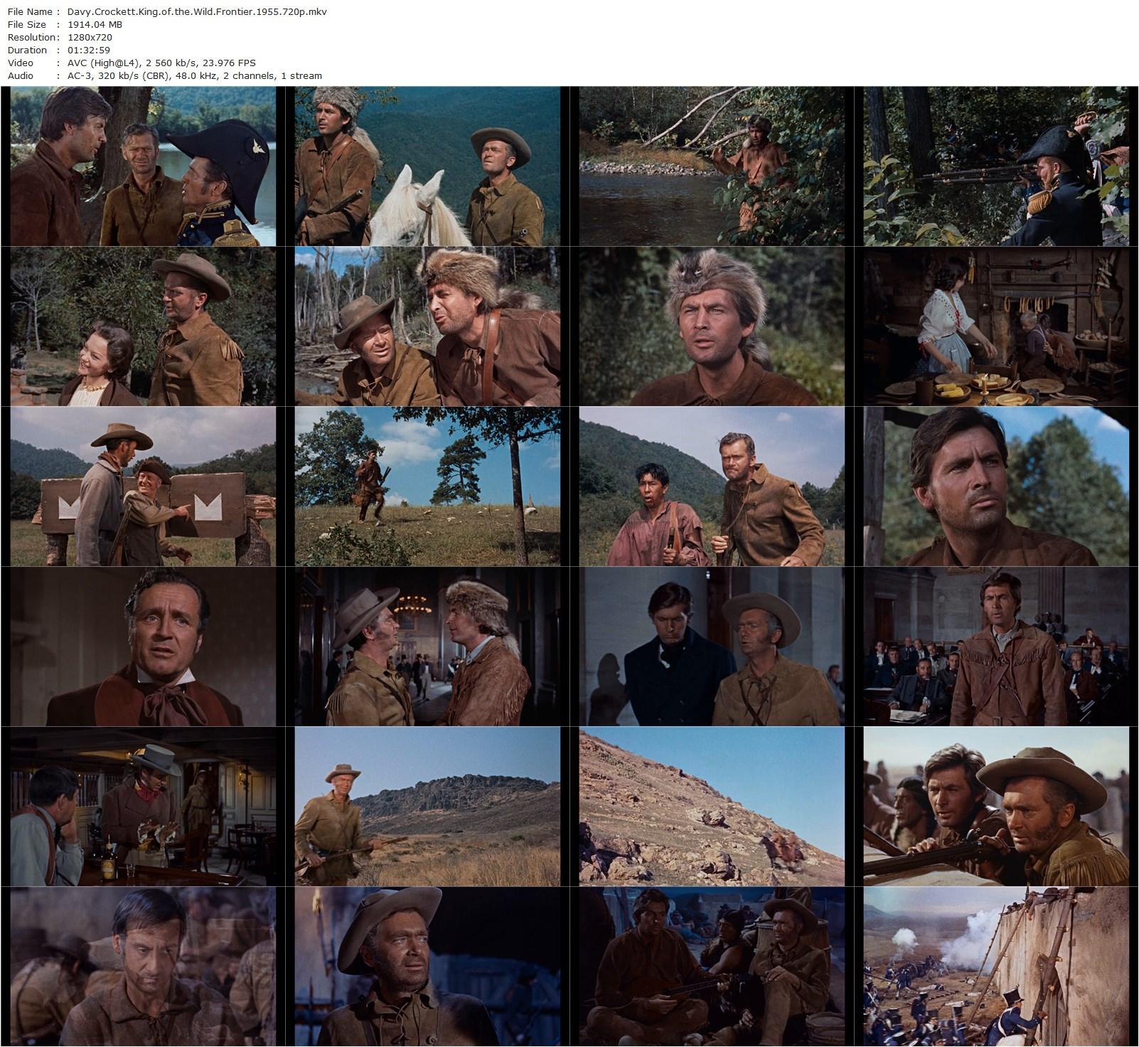 Davy Crockett: King of the Wild Frontier (1955) Norman Foster, Fess Parker, Buddy Ebsen, Basil Ruysdael-poster