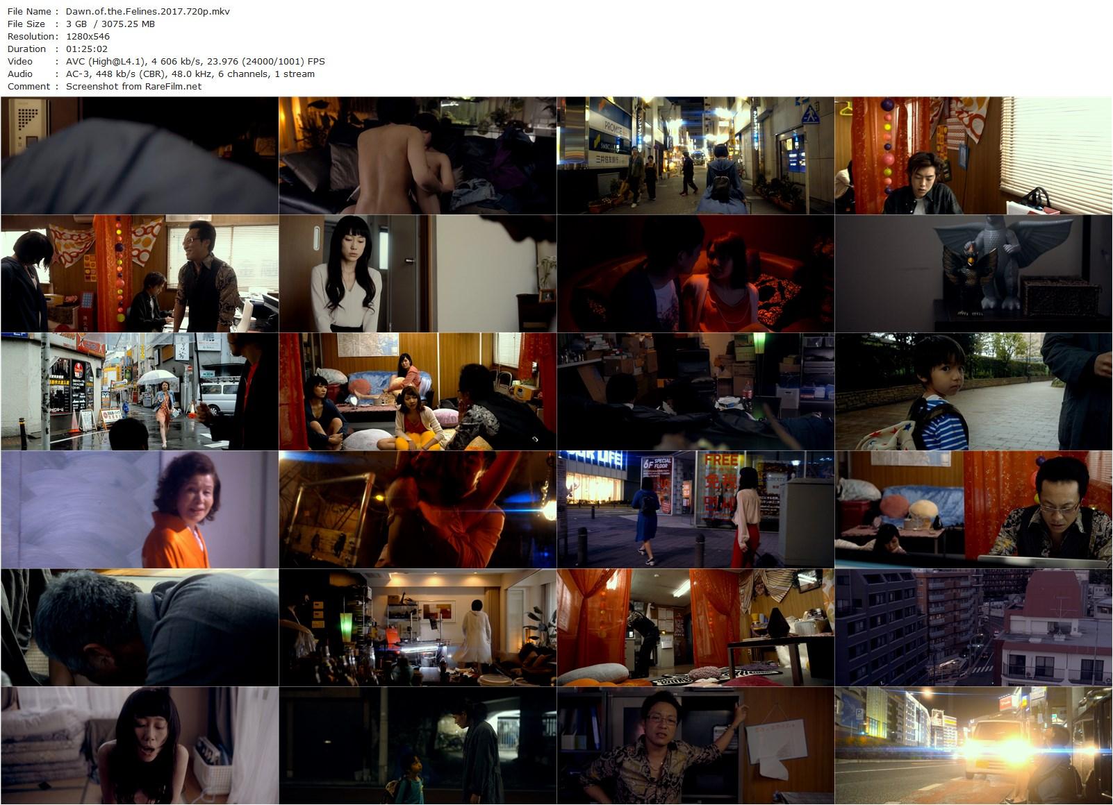 Dawn of the Felines / Mesuneko-tachi (2017) Kazuya Shiraishi, Juri Ihata, Satsuki Maue, Michié-poster