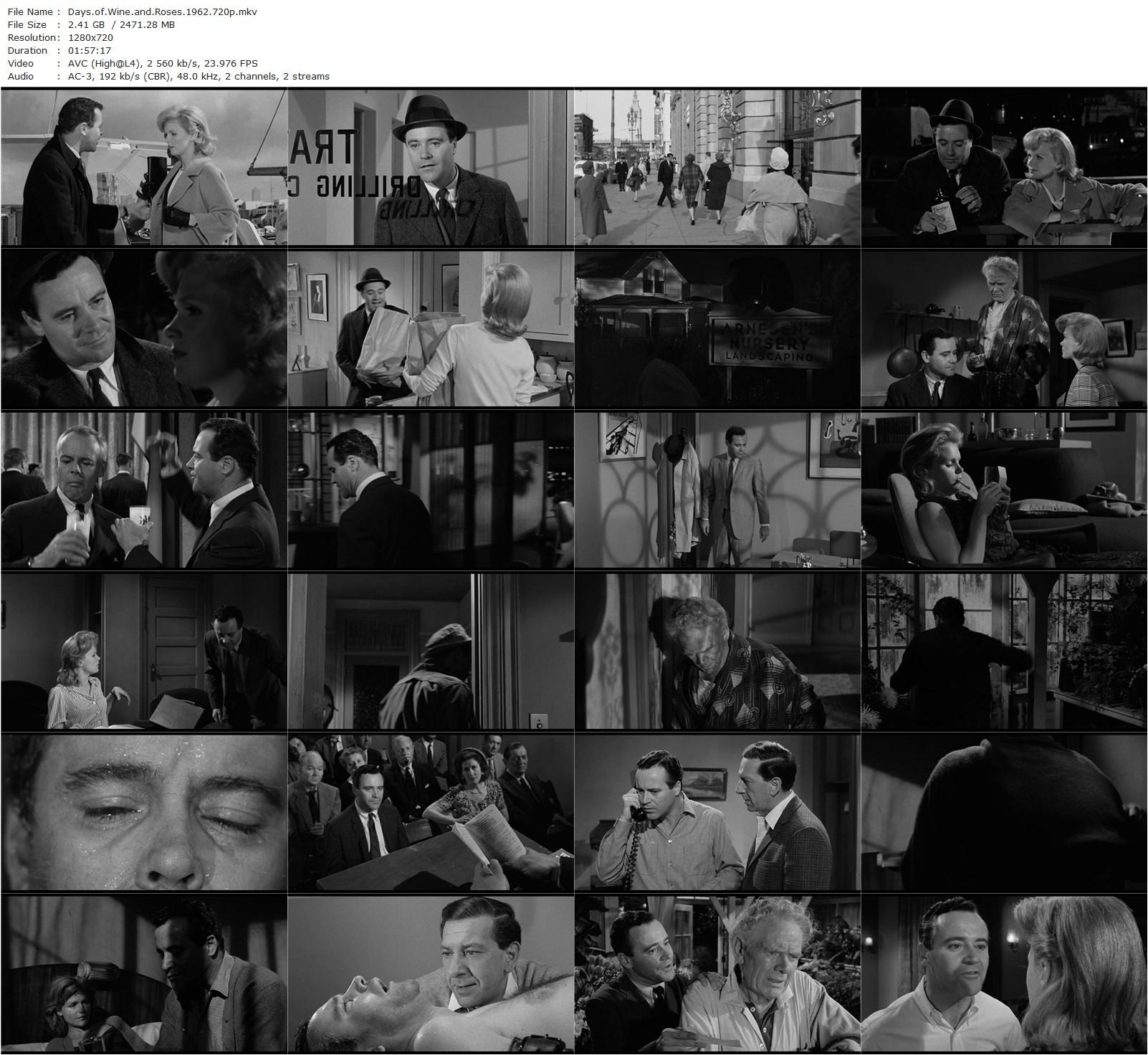 Days of Wine and Roses (1962) Blake Edwards, Jack Lemmon, Lee Remick, Charles Bickford-poster