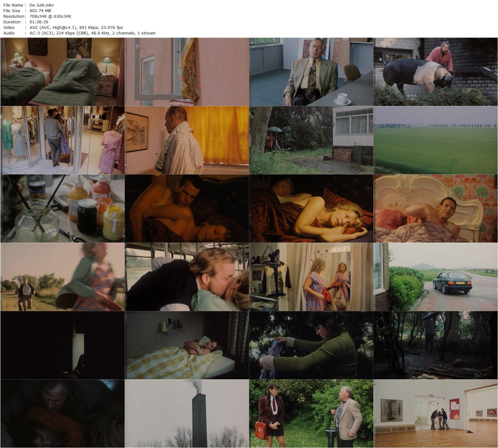 The Dress (1996) Alex van Warmerdam, Henri Garcin, Ingeborg Elzevier, Khaldoun Elmecky-poster