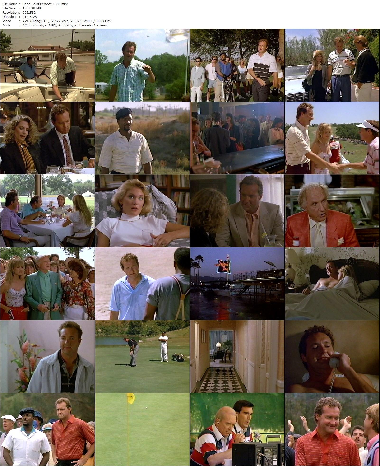 Dead Solid Perfect (1988) Bobby Roth, Randy Quaid, Kathryn Harrold, Jack Warden-poster