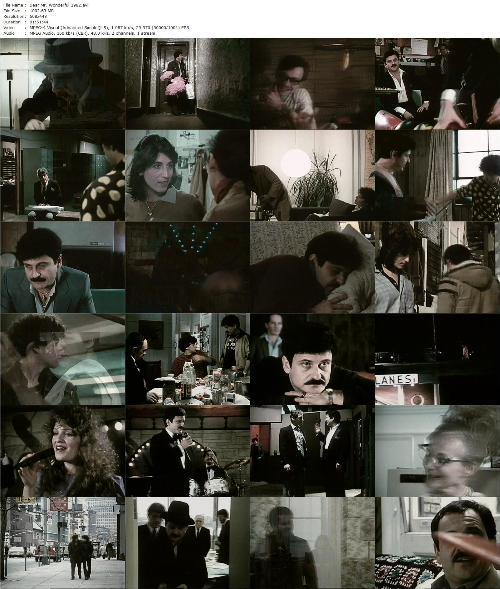 Dear Mr. Wonderful (1982)-poster