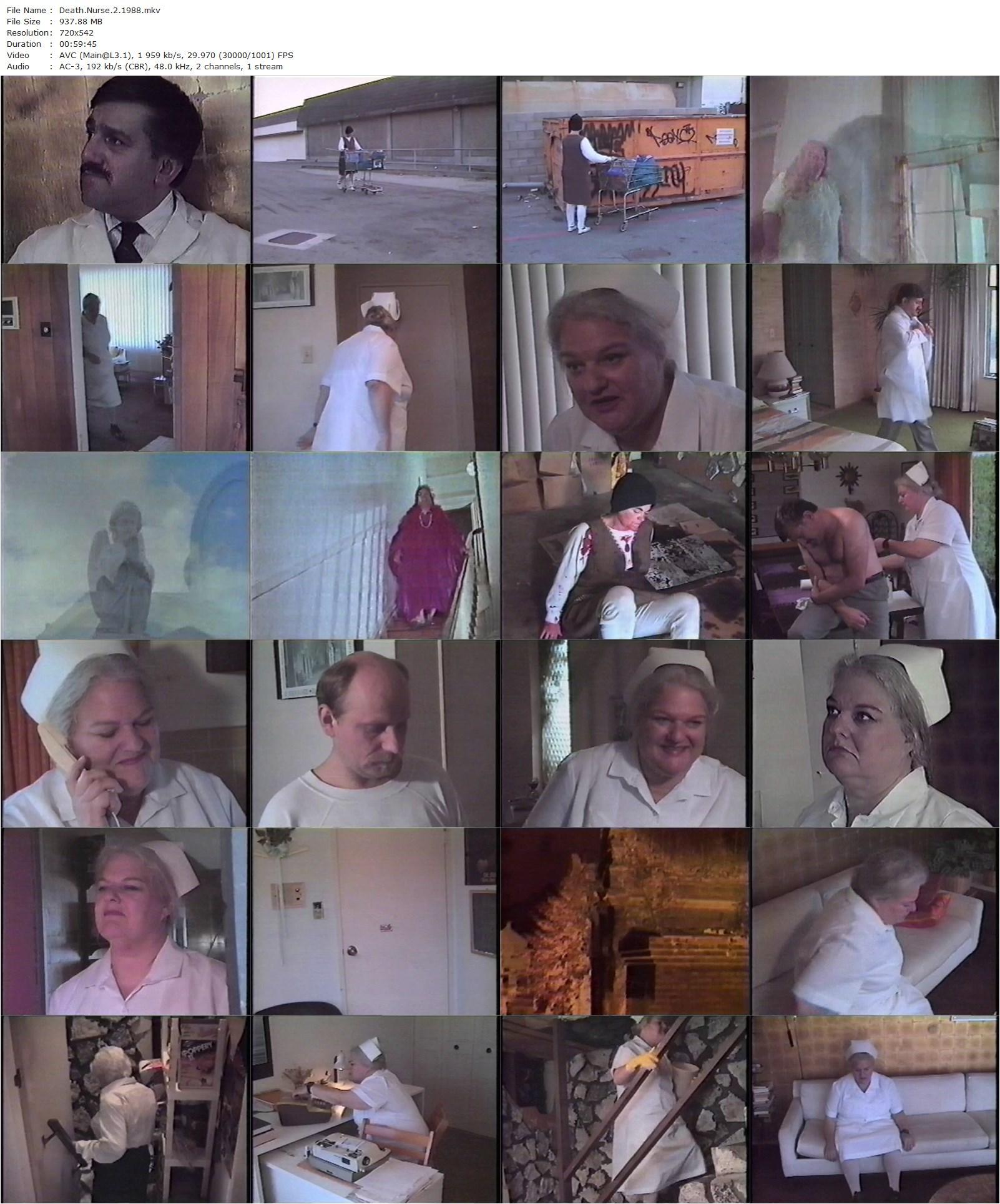 Death Nurse 2 (1988) Nick Millard, Jane Lambert, Robert Copple, George ‘Buck’ Flower-poster