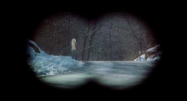 Debbie Does Dallas Part II (1981)-poster