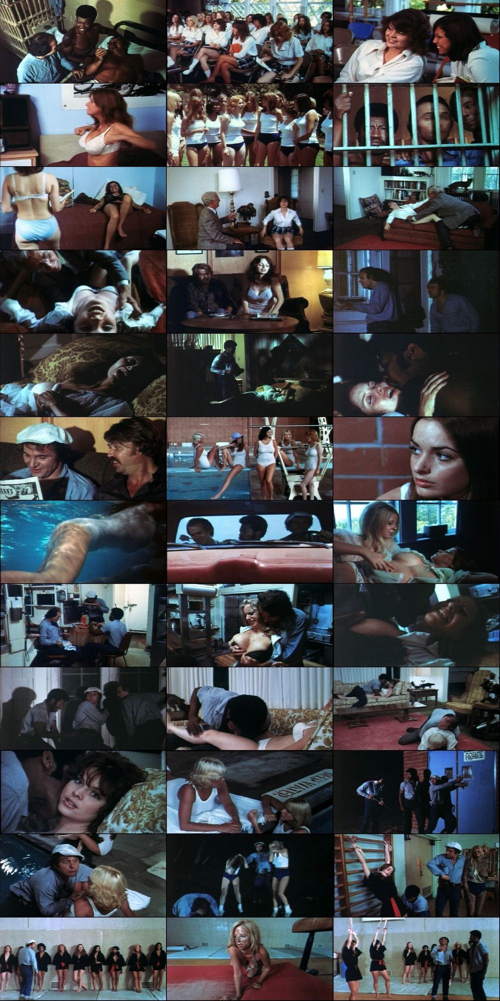 Delinquent School Girls (1975) Greg Corarito, Michael Pataki, Bob Minor, Stephen Stucker, Comedy, Drama, Erotic-poster