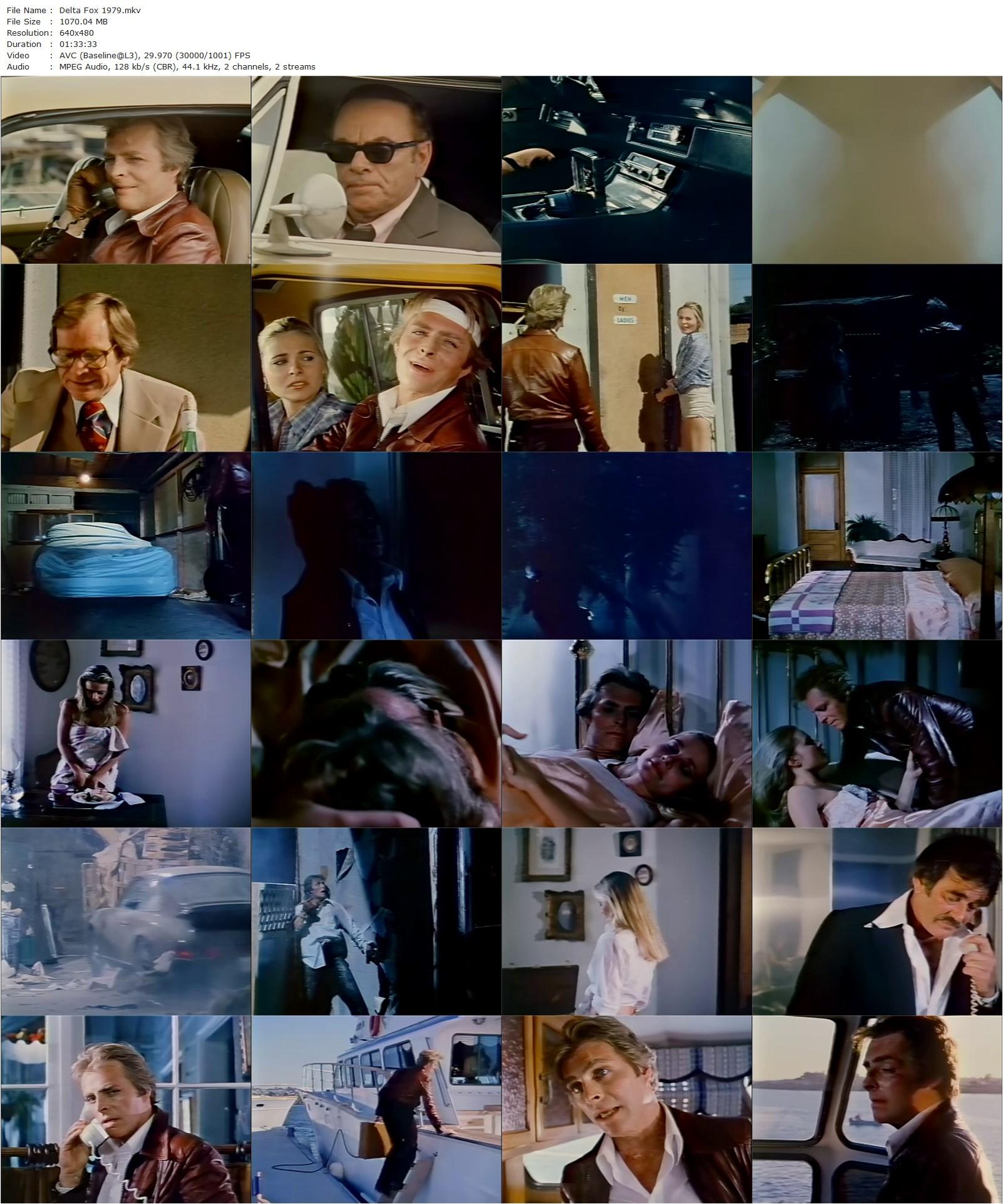 Delta Fox (1979) Beverly Sebastian, Ferd Sebastian, Stuart Whitman, John Ireland, Richard Jaeckel-poster