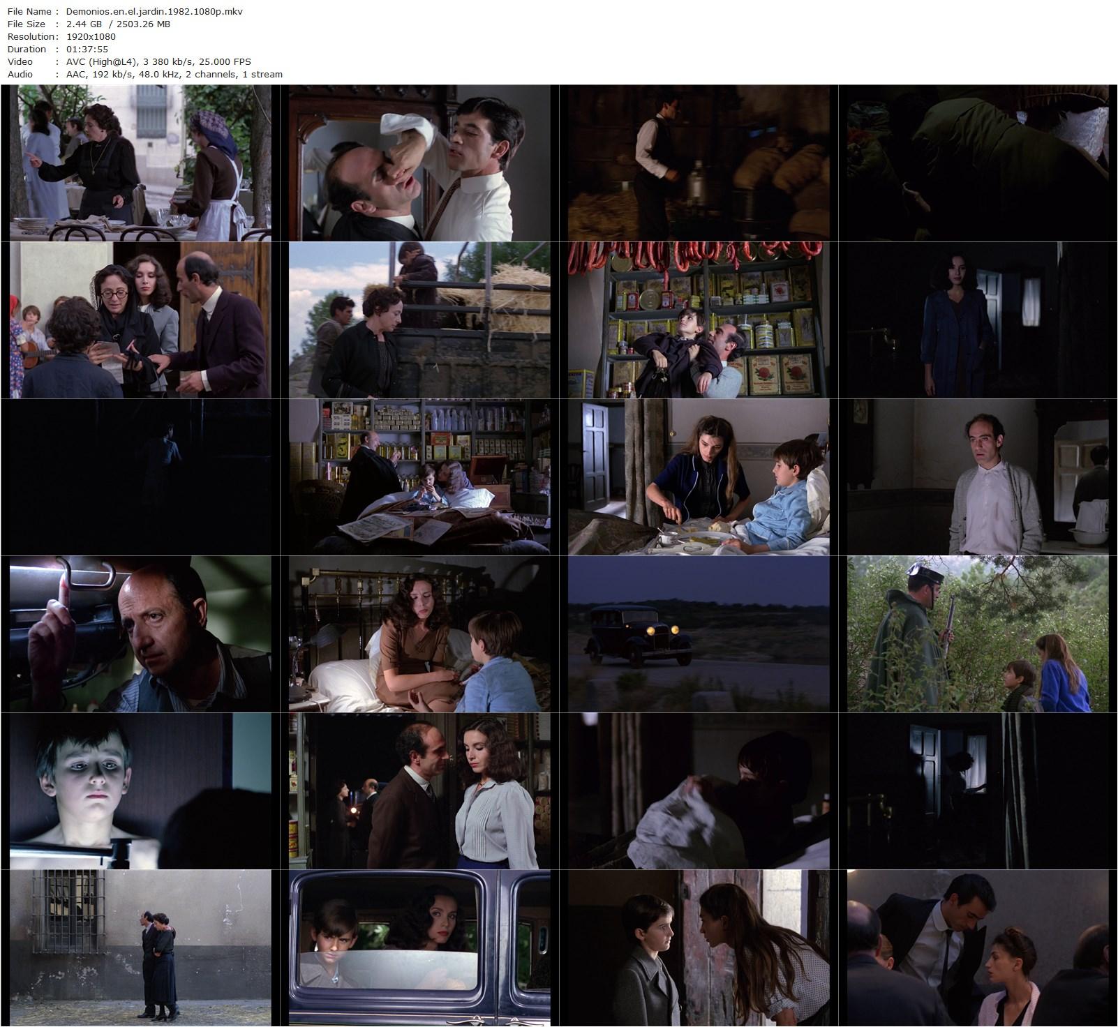 Demons in the Garden AKA Demonios en el jardín (1982) Manuel Gutiérrez Aragón, Ángela Molina, Ana Belén, Encarna Paso-poster