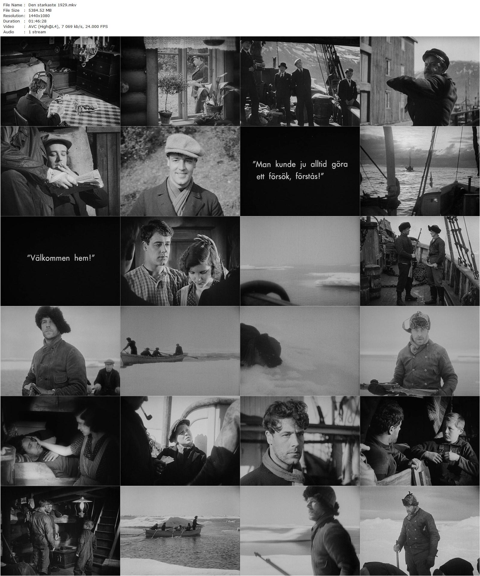 The Strongest AKA Den starkaste (1929) Axel Lindblom, Alf Sjöberg, Anders Henrikson, Bengt Djurberg, Gun Holmqvist-poster