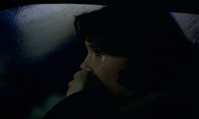 Michael Haneke - Der siebente Kontinent AKA The Seventh Continent (1989)-poster