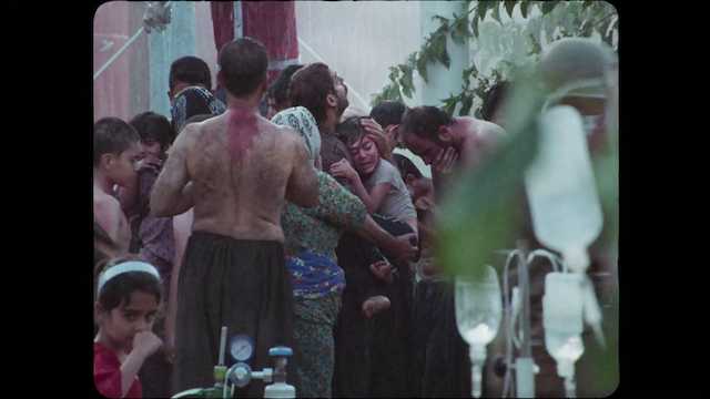 Derakhte Gerdoo (2020) | Worldscinema | Download Free-poster