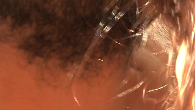 Skin. Like. Sun. (2009) by Jennifer Lyon Bell & Murielle Scherre-poster