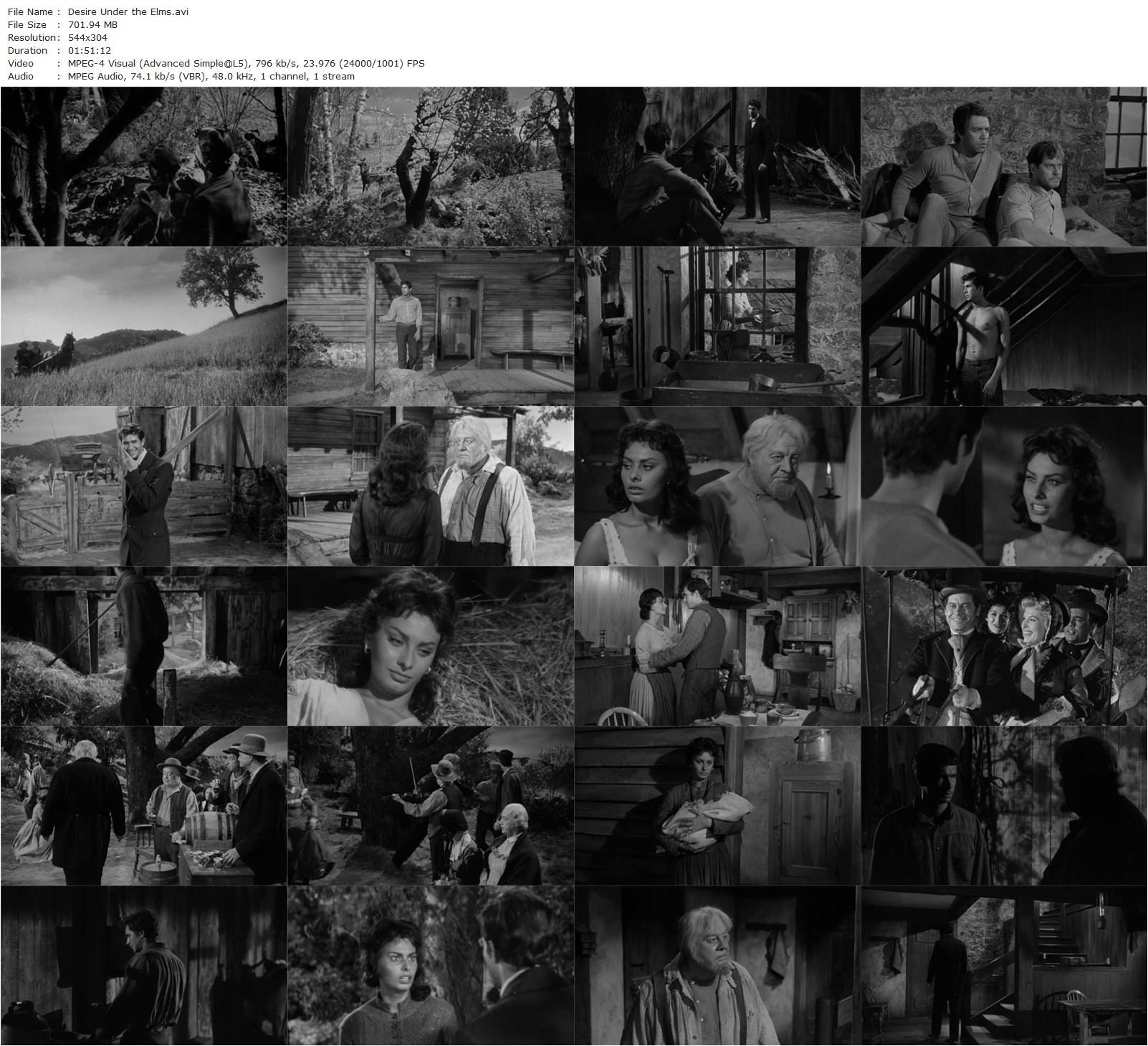 Desire Under the Elms (1958) Delbert Mann, Sophia Loren, Anthony Perkins, Burl Ives-poster