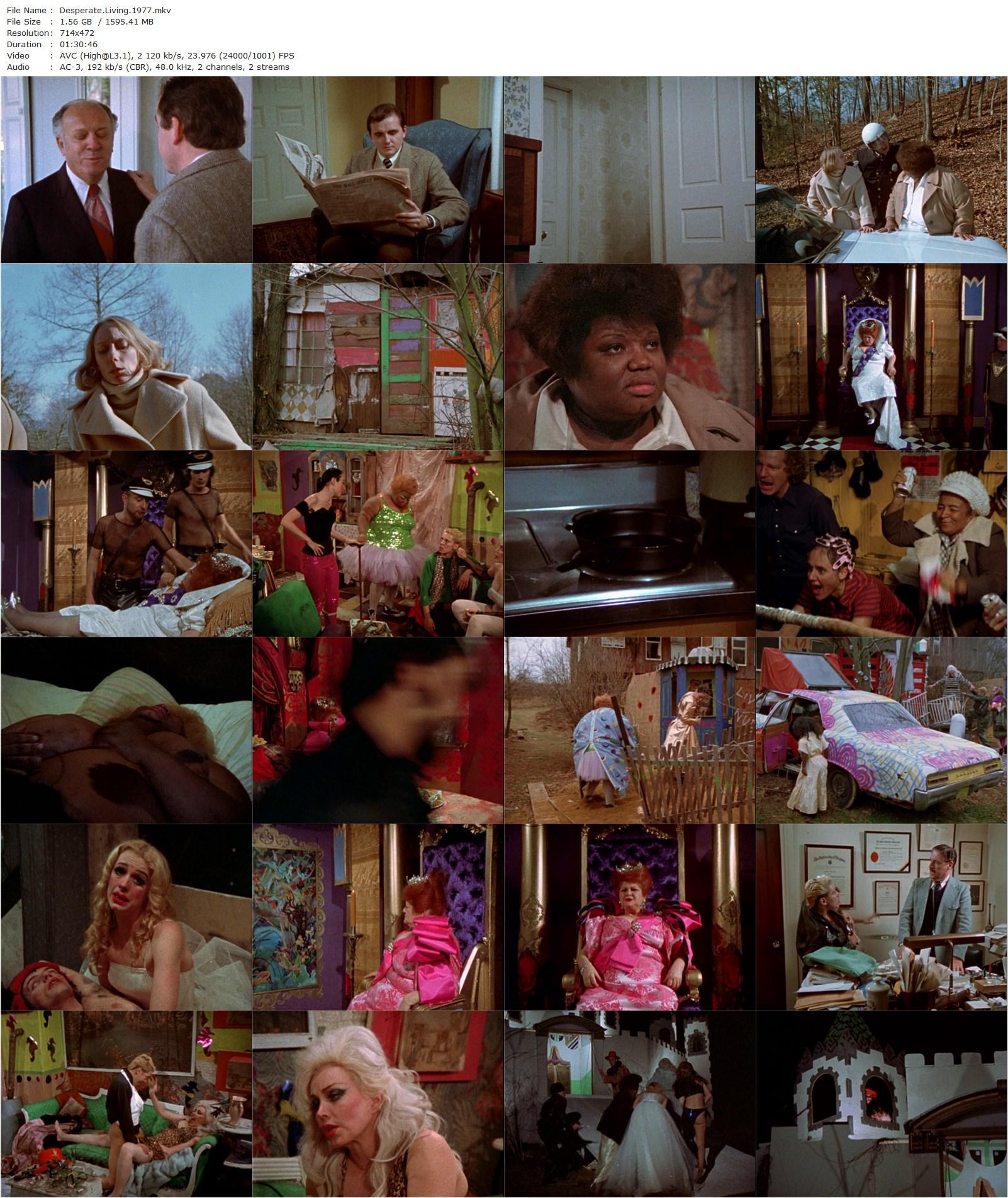 Desperate Living (1977) John Waters, Liz Renay, Mink Stole, Susan Lowe-poster