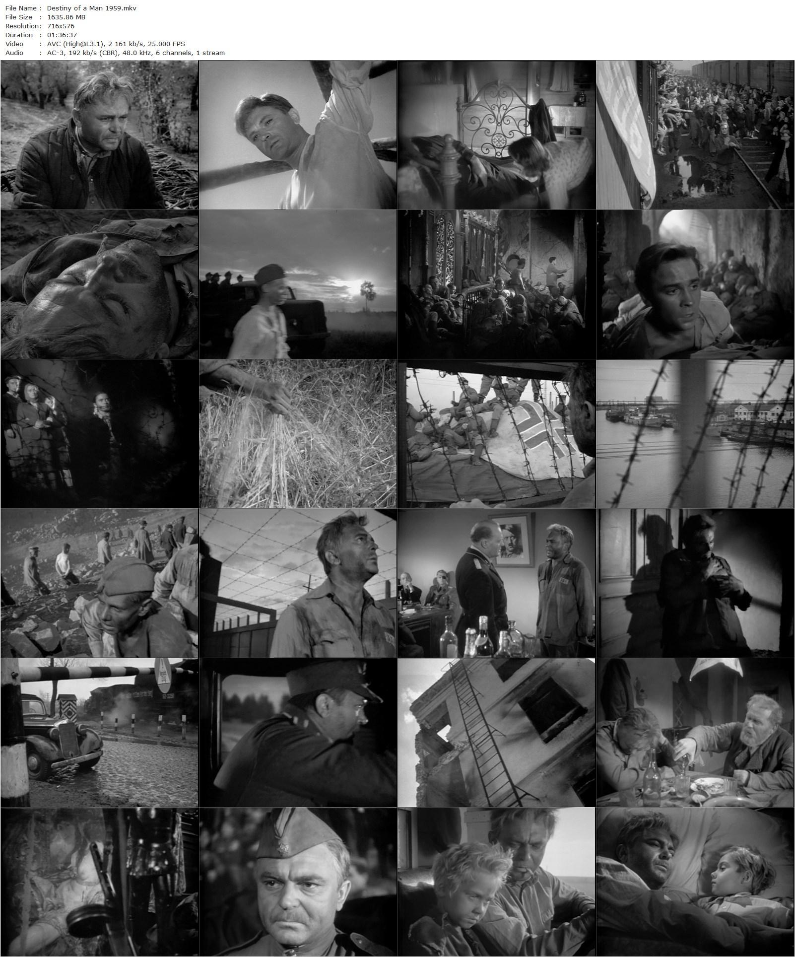 Fate of a Man AKA Sudba cheloveka (1959) Sergey Bondarchuk, Pavel Boriskin, Zinaida Kirienko-poster