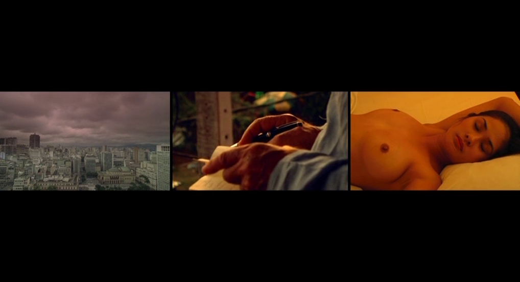 Det Erotiske Menneske (2010) | worldscinema.org-poster